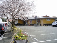 花見