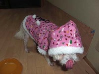 肌寒くなって・・・