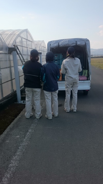 暖かかな！