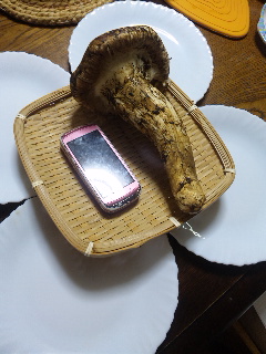 Ⅰ㌔