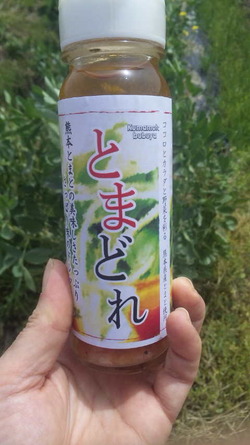 ちょっと早いけれど ご案内
