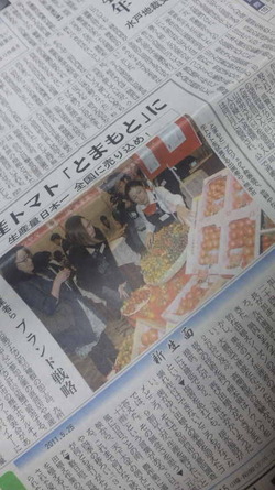 熊日です。