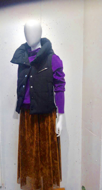 再入荷♪♪シンサレートベスト！！