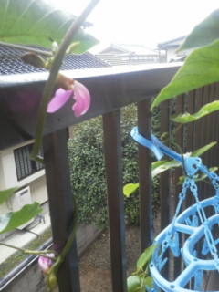 机にちょいと