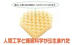 腰が楽な敷ふとん