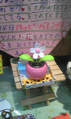 花のやまぐち(菊池)