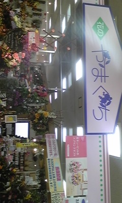 花のやまぐち(菊池)