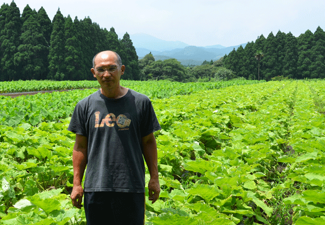 究極のごぼう茶に挑戦!!