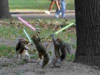 スターウォーズ