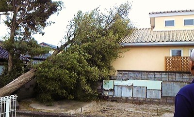 台風？？？事件？？
