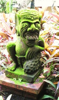 さんまさん発見！