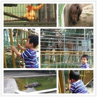 動植物園！