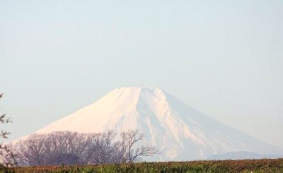 今年もよろしくお願いいたします。