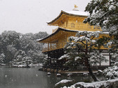 雪\(◎o◎)/!