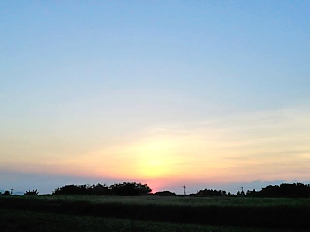 今日も暑かったですね。