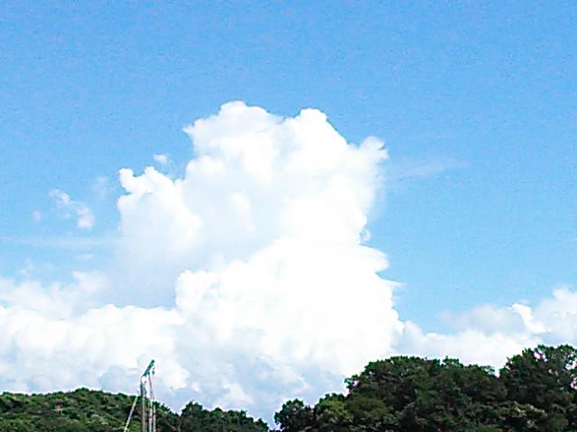 無事通過ですね