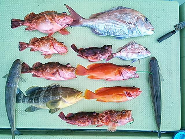 140201釣果