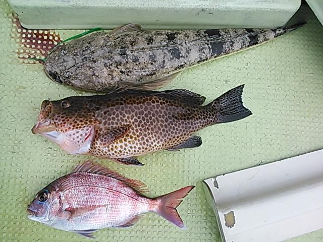 140329釣果 140329釣果