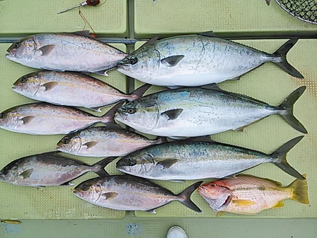 140403釣果 140403釣果