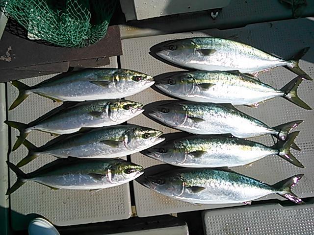 140415釣果 140415釣果