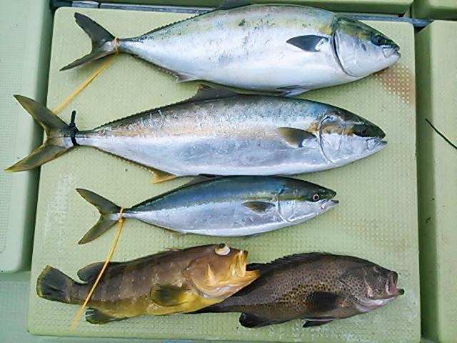 140420釣果 140420釣果