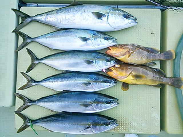 140503釣果 140503釣果