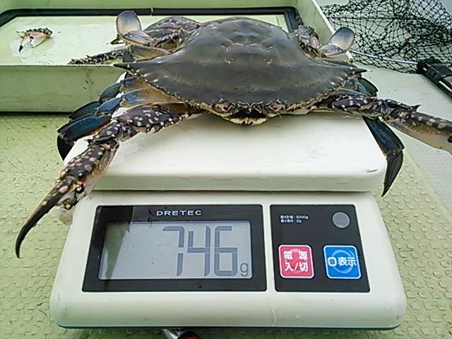 そろそろ そろそろ