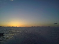 募集です 2014/08/26 18:46:36
