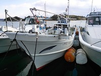 今年も宜しくお願い致します 2015/01/01 18:57:02