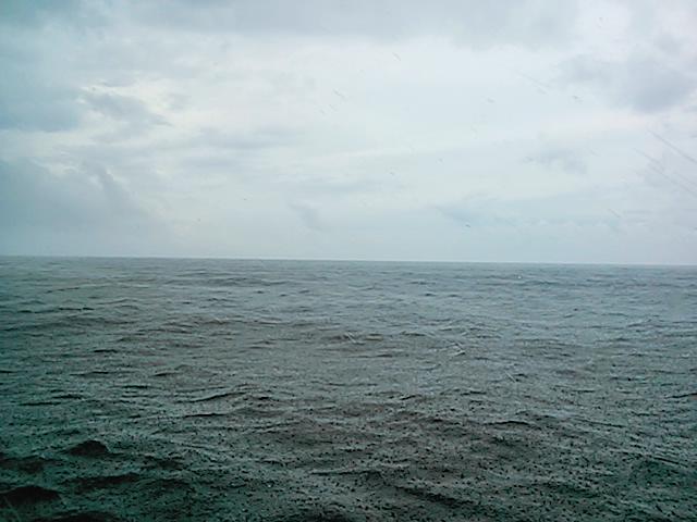 140824釣果 140824釣果
