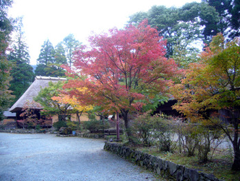 いよいよ紅葉、秋到来