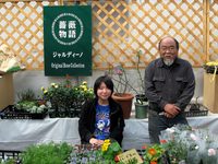 春の植木市に行ってきました