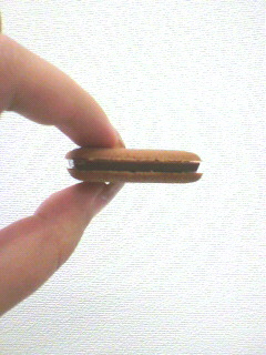 接続できた!