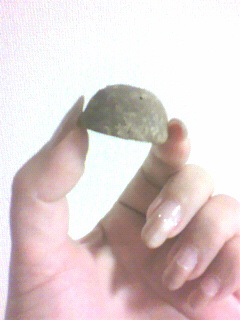 接続できた!