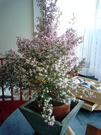 2010年03月01日