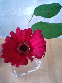 2010年03月03日