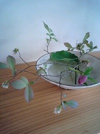 2010年04月08日