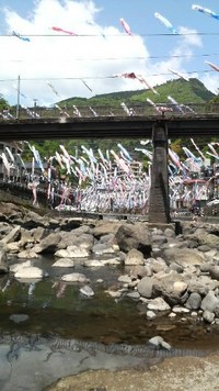 昨日は暑かったですね