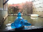 ゆめおい　おかやん