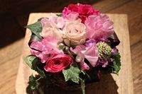 体験会が決定しました