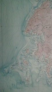 海底地形図