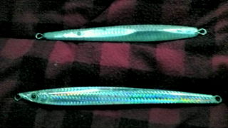 3/5 釣果