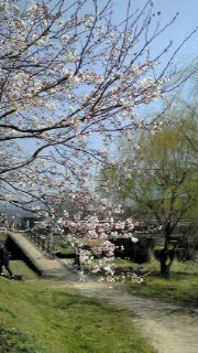 給油