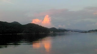 夏ですね。