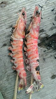 朝食