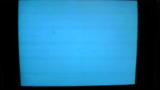 久々に家に帰ったら…