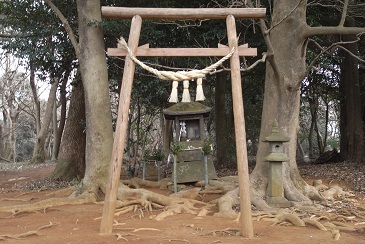 立田山