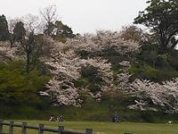 菊池公園