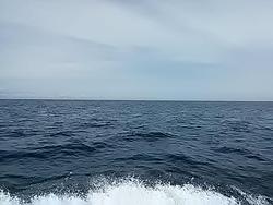 130616釣果