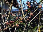また寒波が来ますね。